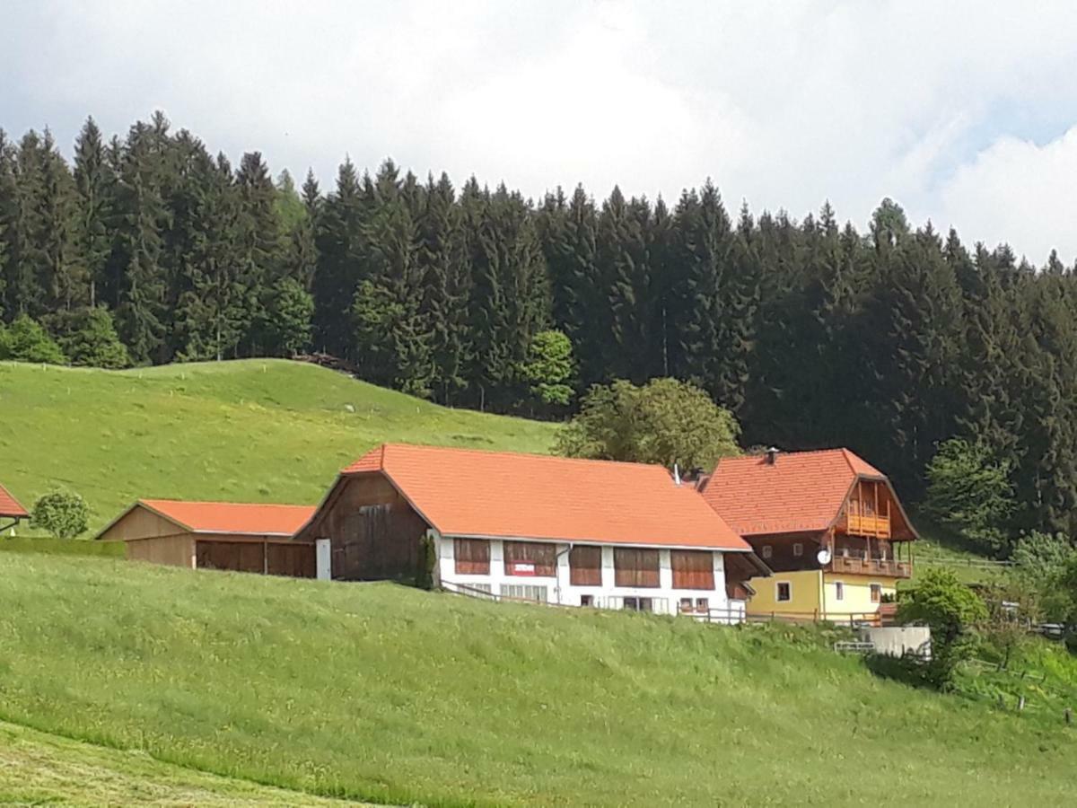 Ferienwohnung Duernberger Liebenfels Exterior foto